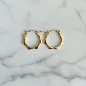 Gold Stainless Steel Hoop Earrings